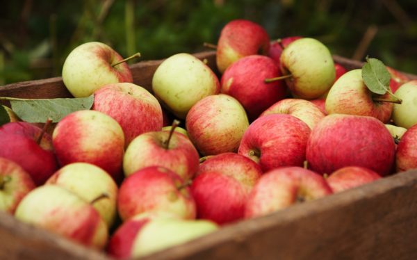 Pomme