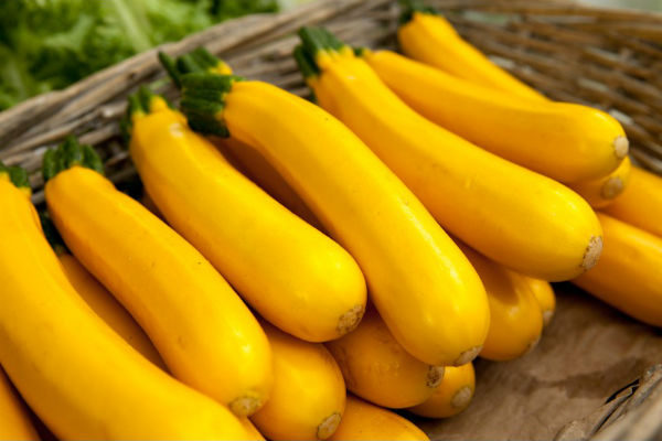 Courgette Jaune