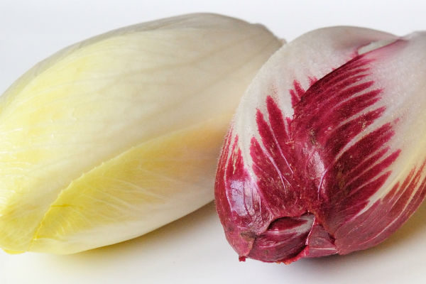 Endive Chicorée Witloof