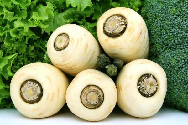 Panais