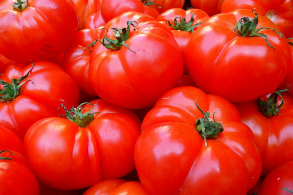Tomate Cœur de Bœuf