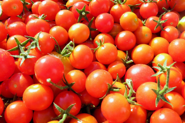 Tomate Cerise Trilly