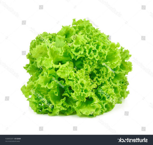 ollectif dUrgence Salade Frisée