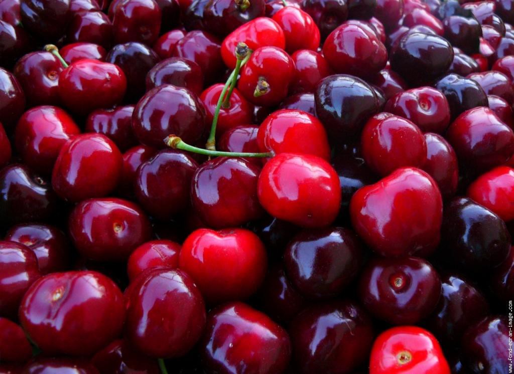 cerises