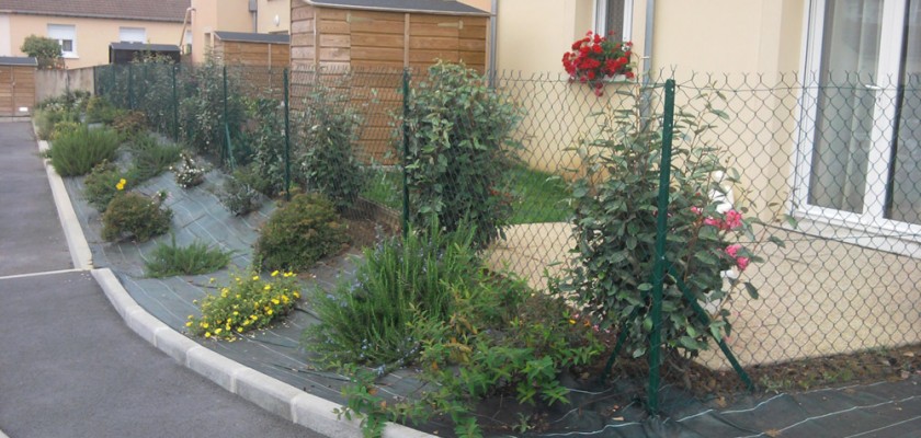 aménagement extérieur maison plantes