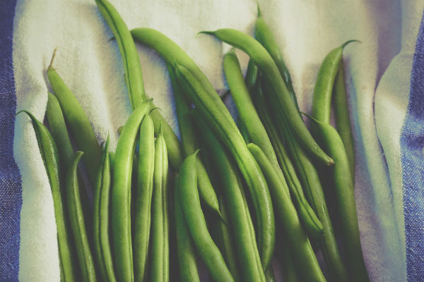 haricot vert
