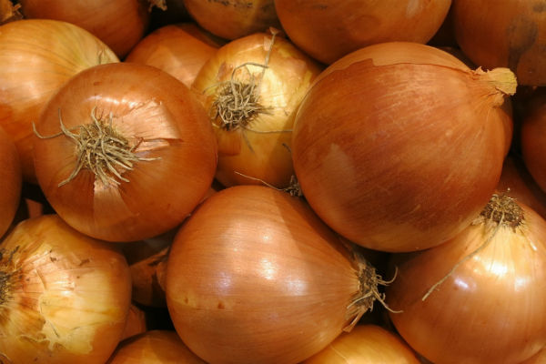 oignon jaune