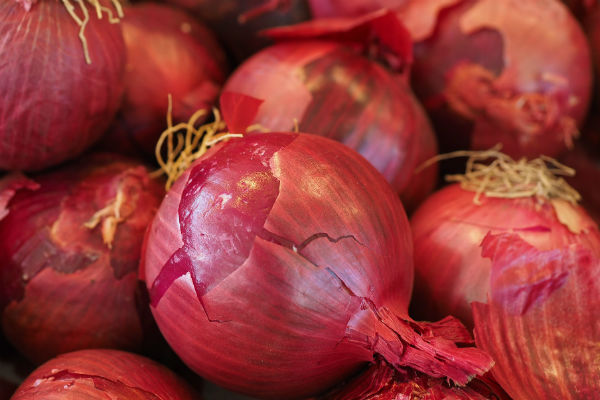 oignon rouge