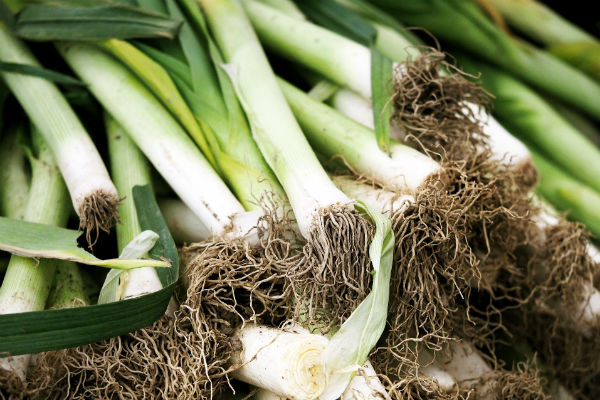 poireaux