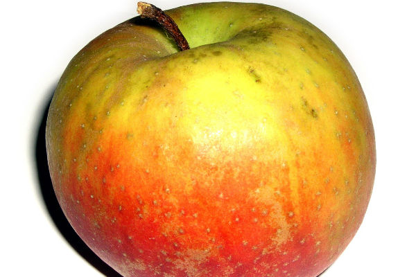 fruit pomme