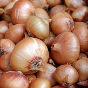 Oignons nouveaux