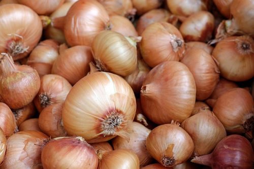 Oignons nouveaux