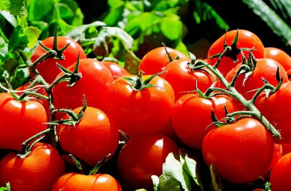 Tomates grappes par le Collectif d'Uregnce