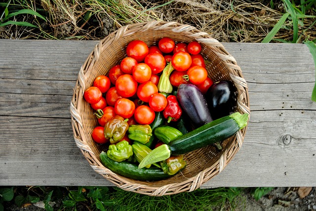 Collectif d'Urgence - Légumes de saison