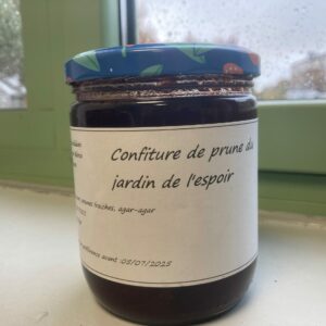 confiture de fruit