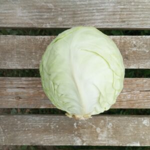 Chou Blanc